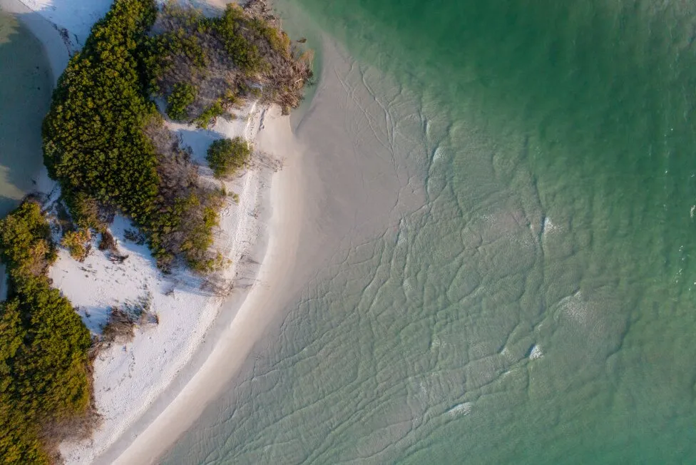 Shell Island In Bay County, FL